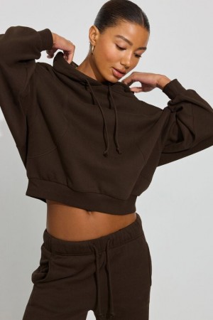 Brown Women Garage Ultrafleece Seamed Hoodie | A-2759140